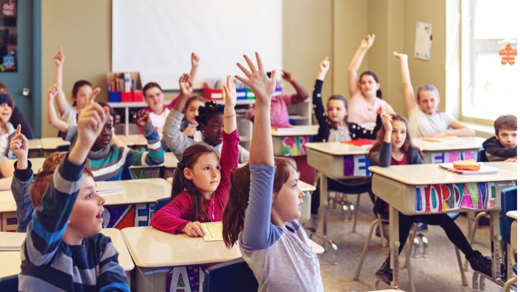 Your paragraph text (6)